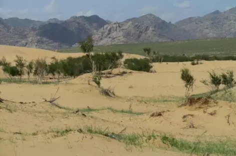 Dunes d’Elsen Tasarkhai - Mongolie