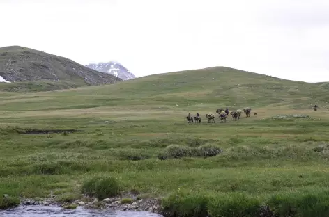 Alentours du lac Uüreg Nuur - Mongolie