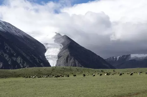 Massif du Tsambagarav - Mongolie