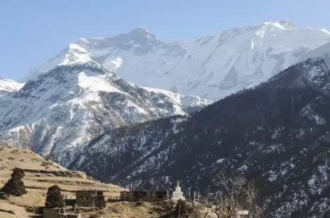 Trek > Camp de Base du Thorung La (4500 m)