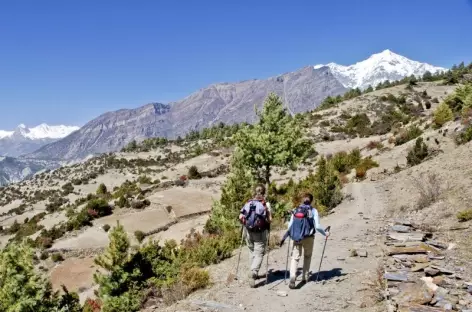 Trek > Manang (3500 m)