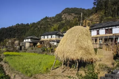 Marche > Gathey Khola (1200 m), Pokhara