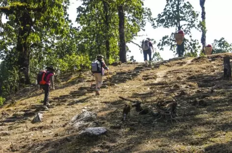 Marche > Gathey Khola (1200 m), Pokhara