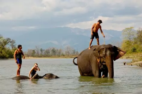 Bains des Eléphants, Chitwan - Népal