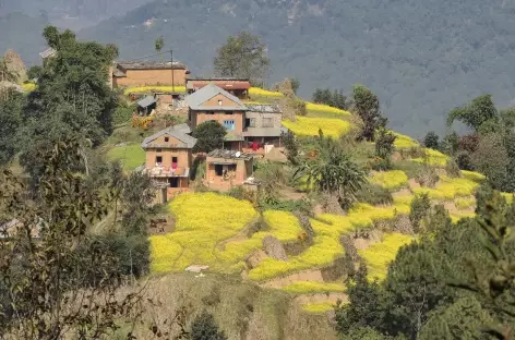 Village depuis les routes népalaises - Népal