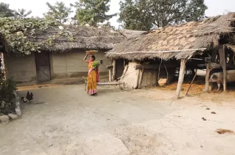 Village Tharu, Népal