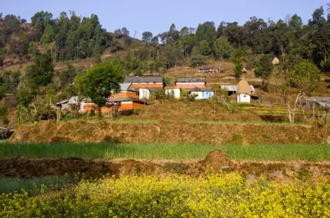 Sur les Hauteurs de Pokhara - Népal