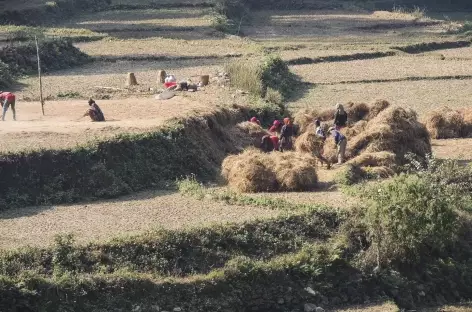 Sur le bord des Routes - Népal