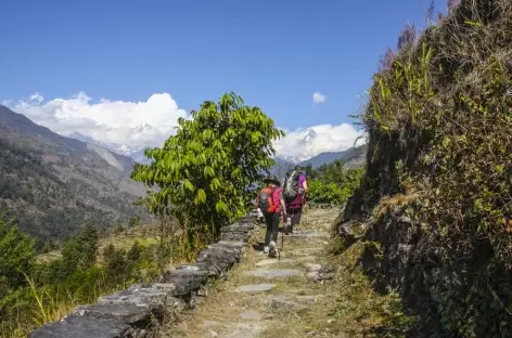 Balade vers Landrung, Népal