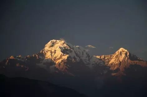 Soleil levant sur l'Annapurna sud - Népal - 