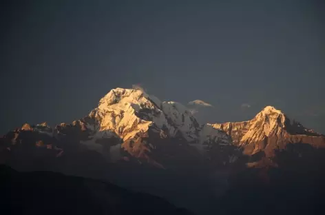 Soleil levant sur l'Annapurna sud - Népal