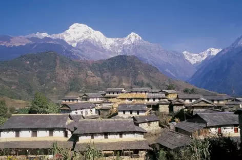 Village de Gandrung face aux Annapurna - Népal