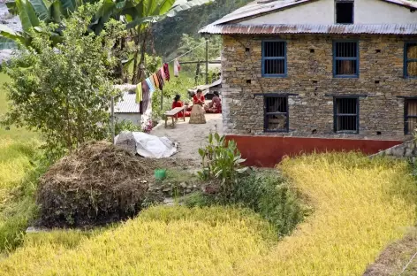 Beau village la région d'Helambu - Népal