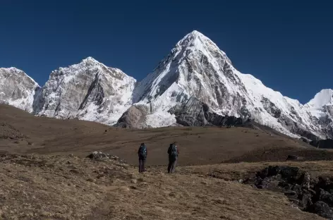 Le Pumori, vue avant l'arrivée à Gorak Chep - Népal