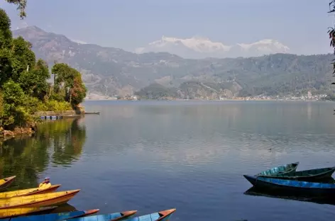 Lac Pokhara - Népal