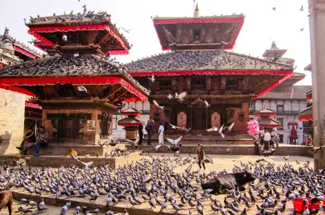 Kathmandu, vol de retour