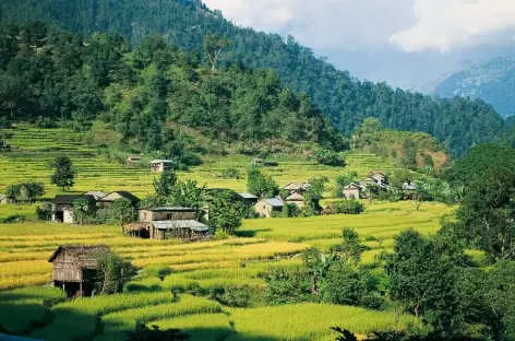 Vallée de la Marsyangdi Khola - Népal