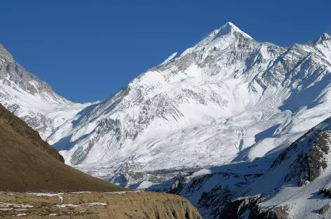 La face Ouest du Thorong peak - Népal