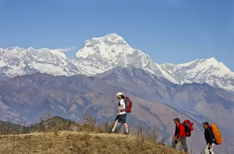 Le Dhaulagiri depuis Poon Hill- Népal