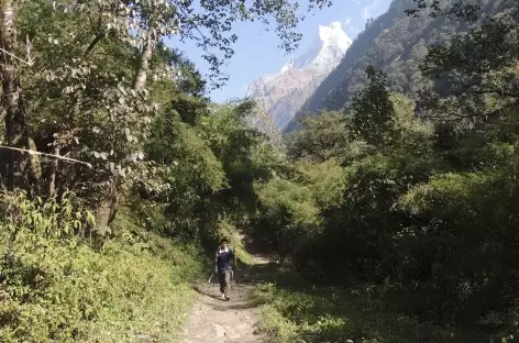 En route vers Bamboo - Népal