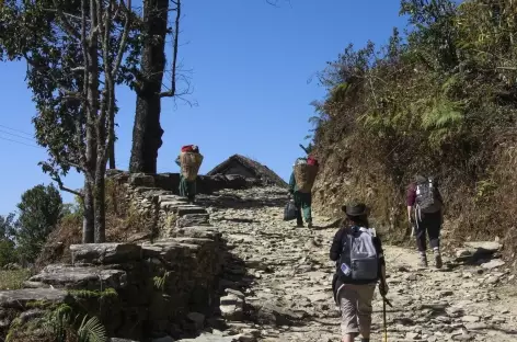 En route vers les sommets - Népal