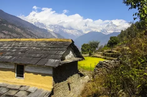 Maison Gurung en dessous de Landrung - Népal