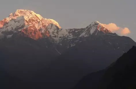 Soleil levant sur l'Annapurna sud - Népal
