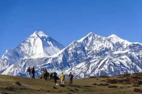 Vue du Dangla - Népal