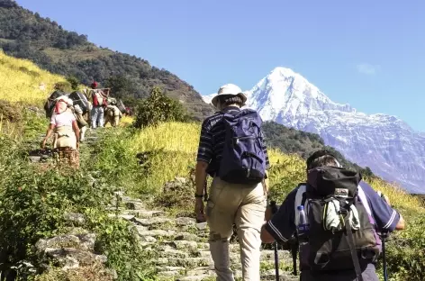 En remontant vers Chomrong - Népal