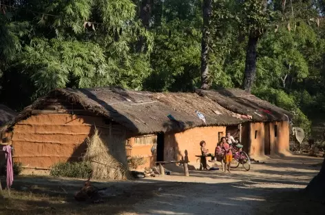 Habitat du Teraï - Népal