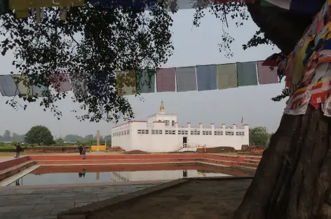 Temple de Mayadevi, Lumbini - Népal