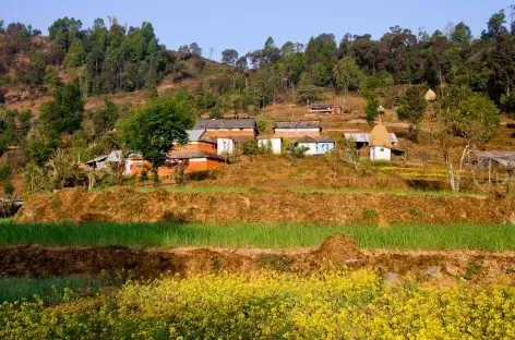 Sur les hauteurs de Pokhara - Népal