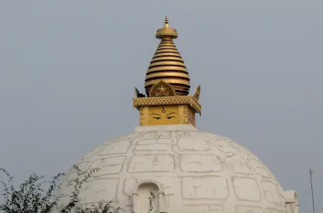 Stupa de la paix, Lumbini - Népal
