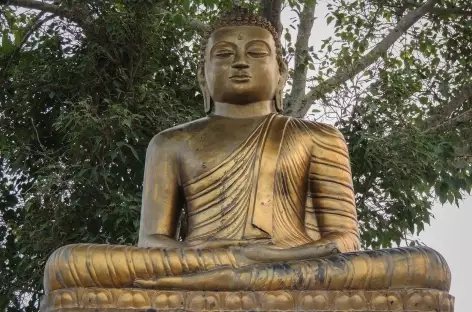 Buddha à Lumbini - Népal - 