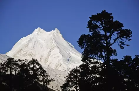 Trek > Shyala (3510 m)