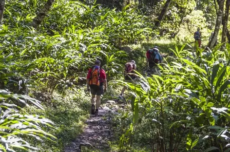 Trek > Tapethok > Chirwa (1450 m)