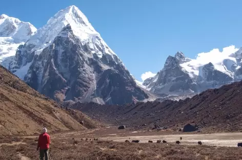 En direction de Yalung - Kangchenjunga Népal