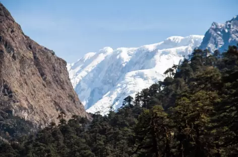 Les Kabru - Kangchenjunga Népal