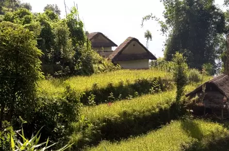 Habitat dispersé - Kangchenjunga Népal