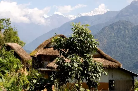 Habitat dispersé - Kangchenjunga Népal