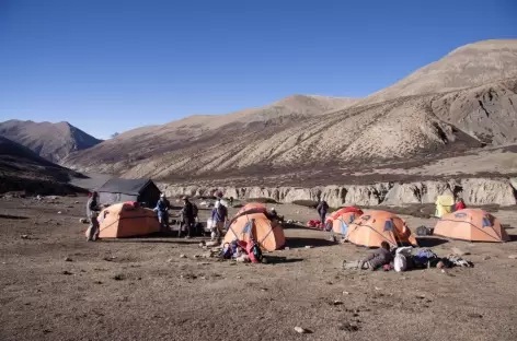 Trek > Jyanta La (5130 m) > Tokkyu > Dho Tarap (4100 m)