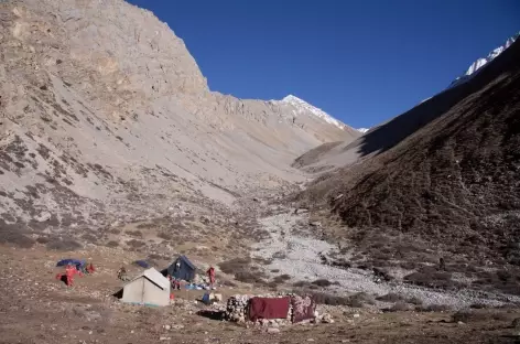 Trek > Numa La (5280 m) > Camp de Base Baga La (4500 m)