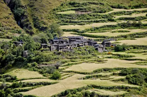Village du Manaslu - Népal