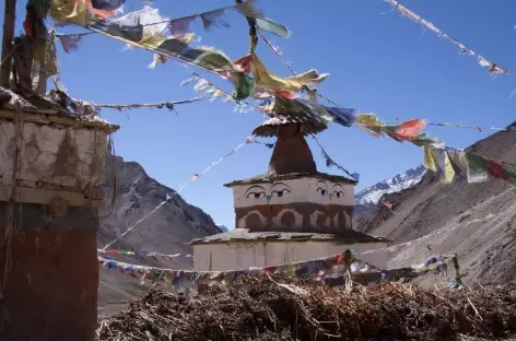 Trek > Jyanta La Phedi (4700 m)