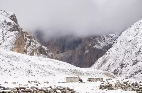 Trek > Camp de base du Gand La (4650 m)