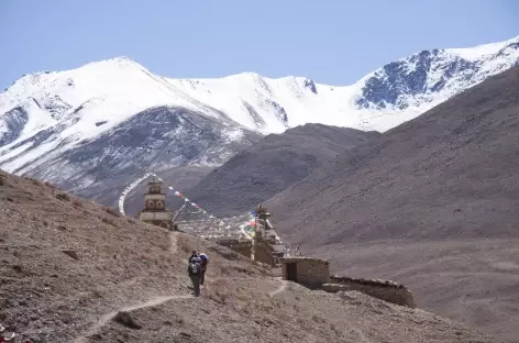 Trek > Jyanta La Phedi (4700 m)
