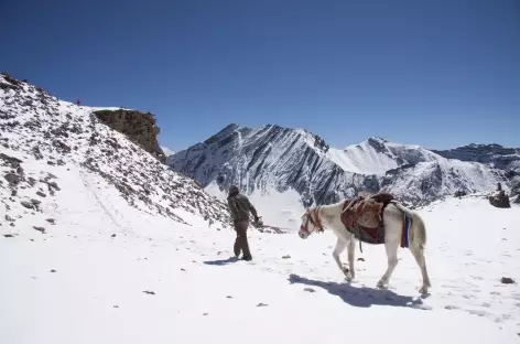Trek > Jyanta La (5130 m) > Tokkyu > Dho Tarap (4100 m)