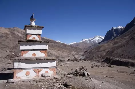 Trek > Shibchog > Camp de base du Jhyarkoi La (4800 m)