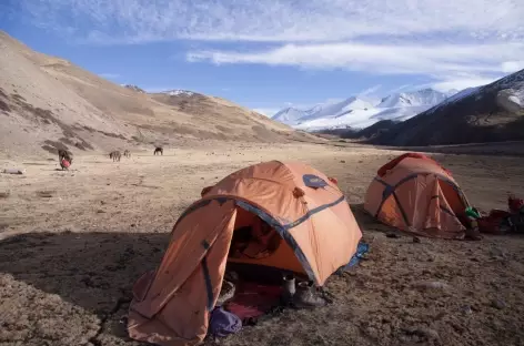 Trek > Mola La (5030 m) > Chharka Bhot (4330 m)