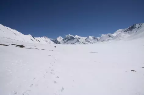 Trek > Mola La (5030 m) > Chharka Bhot (4330 m)